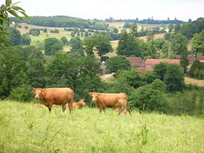 Circuit du Puy de Grammont