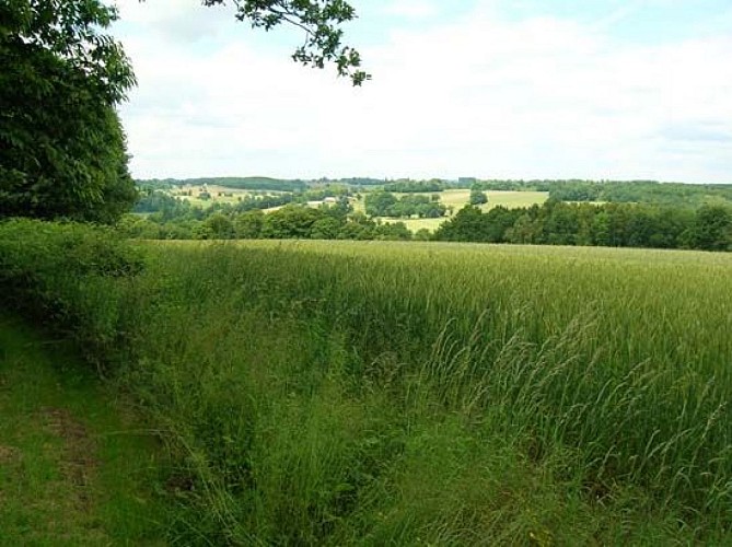Circuit du Puy de Grammont