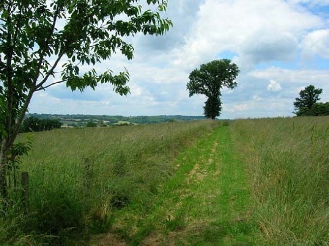 Circuit du Puy de Grammont