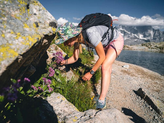 Randonnée au Lac Blanc depuis l'Index_Chamonix-Mont-Blanc