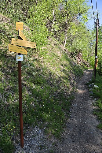 The Valloire ecosylve trail