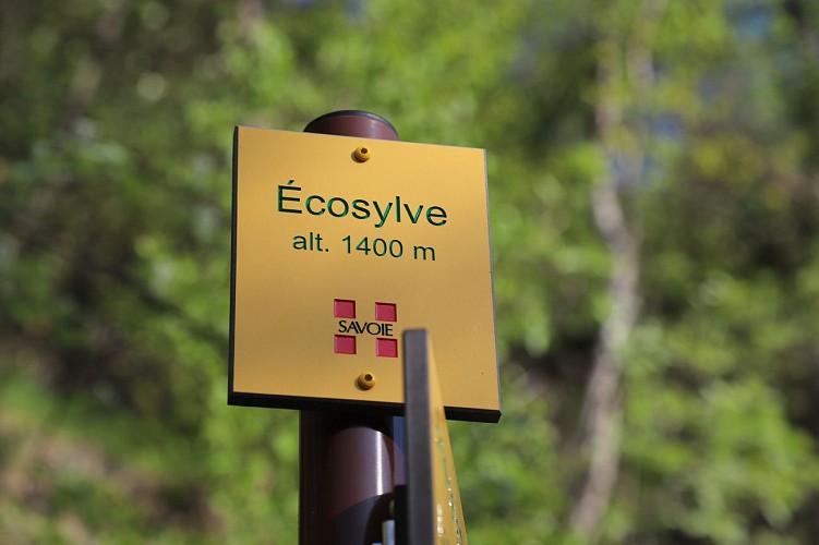 Le sentier écosylve de Valloire