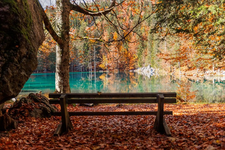 Grüner See im Herbst