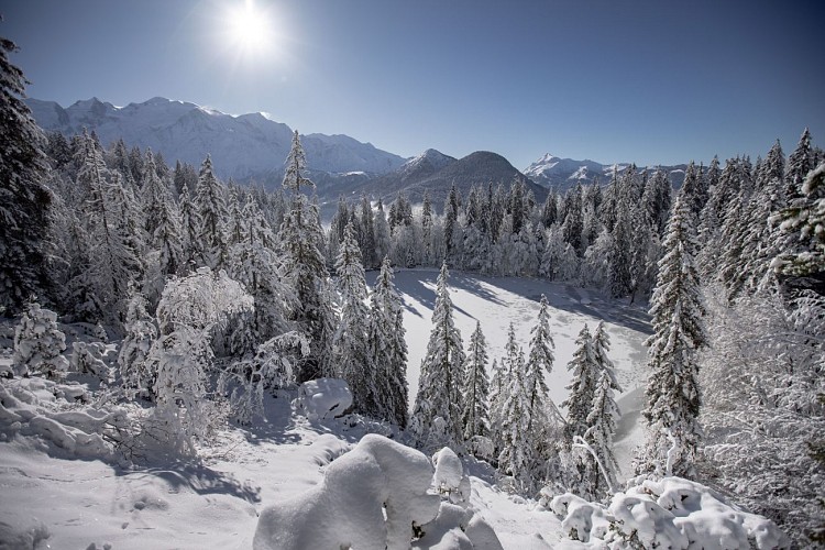 Grüner See im Winter