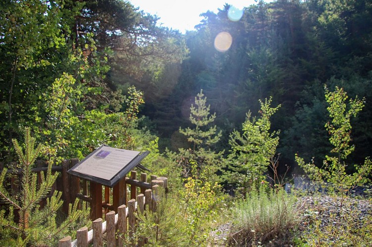 Les stations d'information