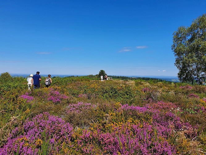Mont Gargan-Crédit Département de la Haute-Vienne