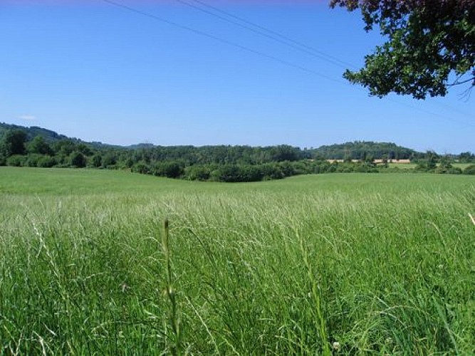 Circuit Les Daumiers