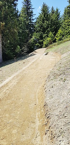 Downhill MTB - Pikachu