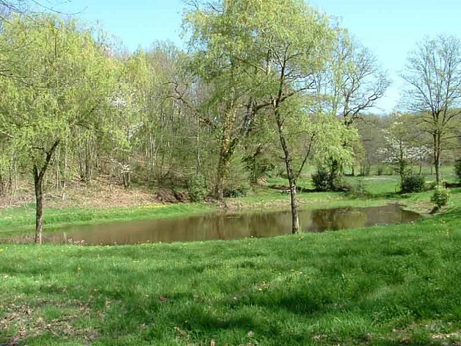 Circuit Les Ramiers - les Millefeuilles