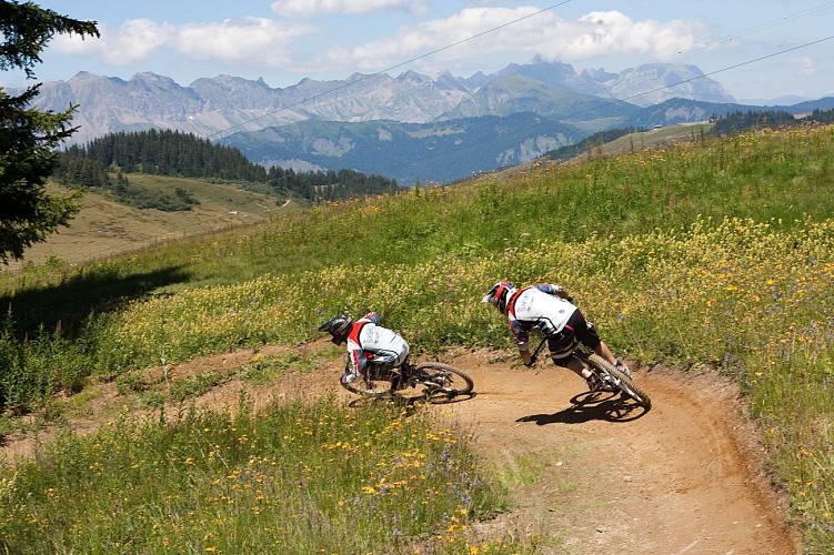 Downhill MTB - La Cornifle