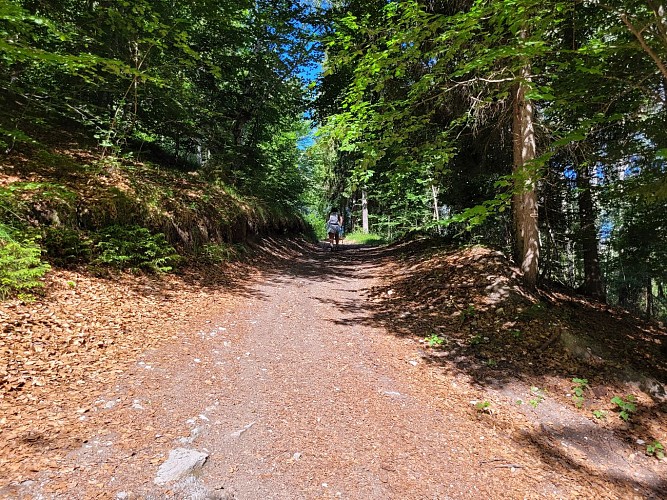 Boucle Cul de l'Ane - Bozel