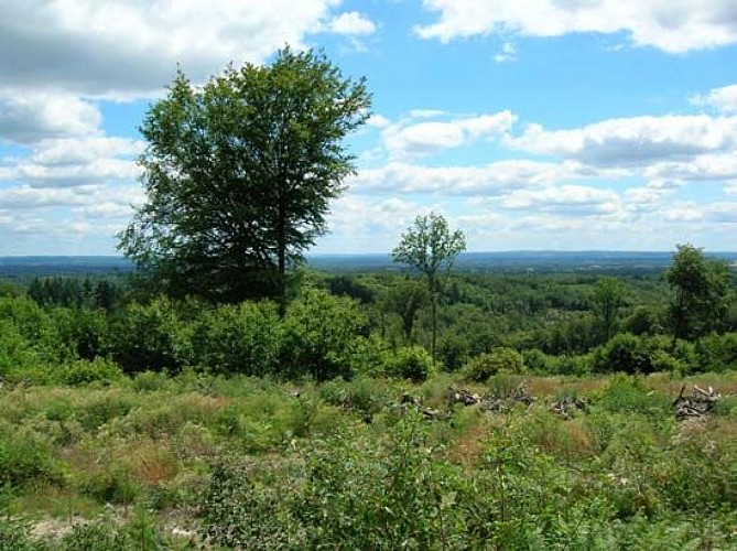 Circuit 'Sur les traces d'Henry IV'