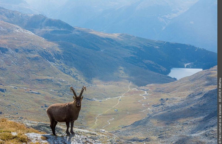 Hiking at the Col d'Aussois