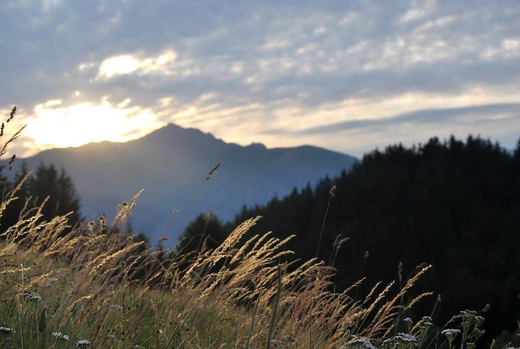 Botanischer Pfad von Sapey