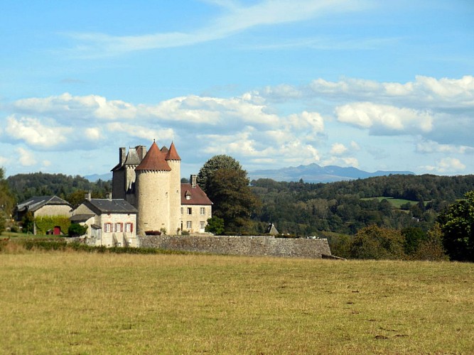 Château de la Gane - Saint Exupéry les Roches_6