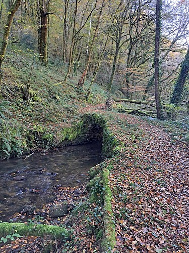 Combejean (17)_5