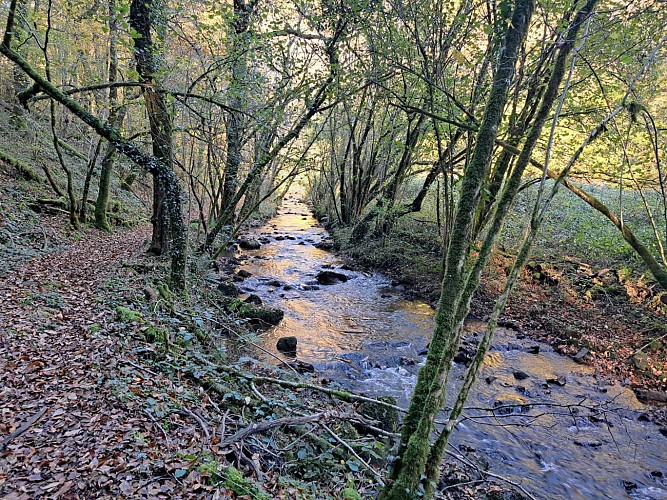 Combejean (16)_6