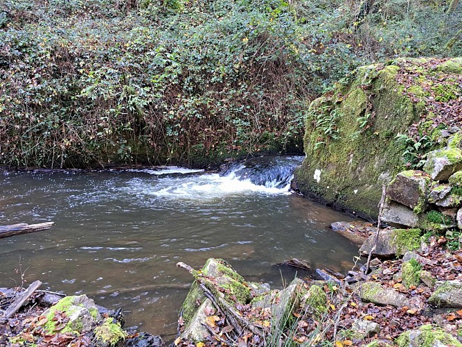 Combejean (14)_7
