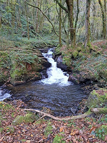 Combejean (13)_8