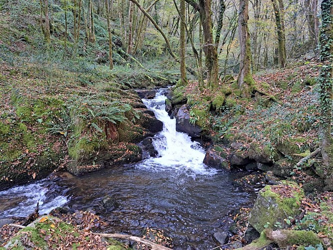 Combejean (11)_10