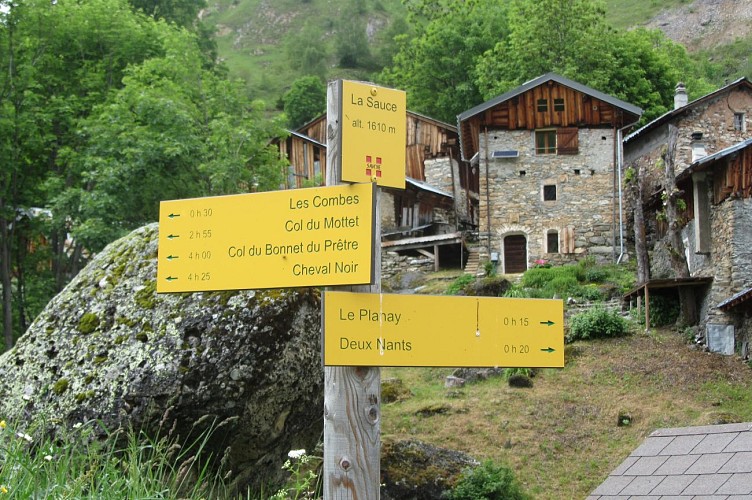 Le cheval Noir (Sauce)