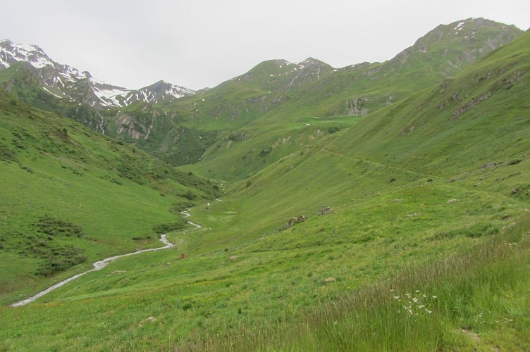 Le cheval Noir (Sauce)