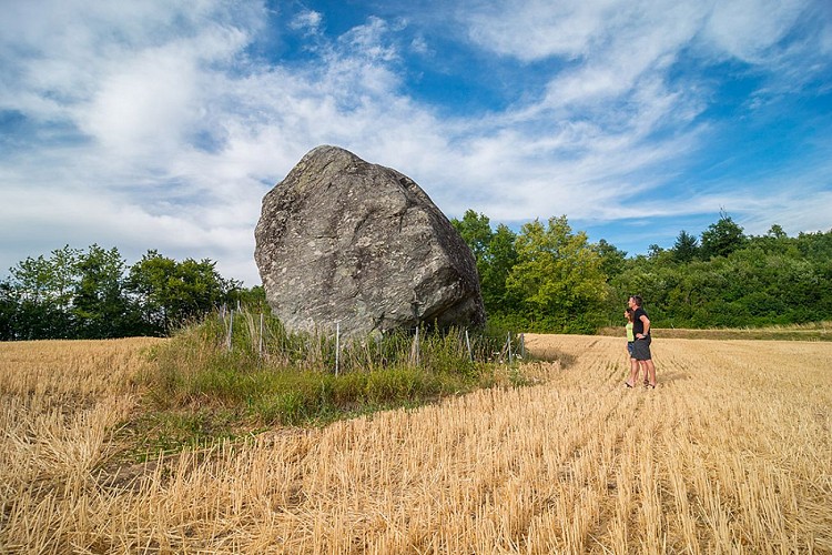 Erratic boulder discovery trail