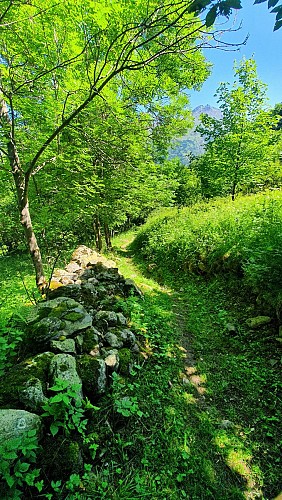 Sentier à thème Moulin des Combes