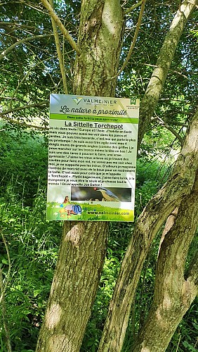 Sentier à thème Moulin des Combes