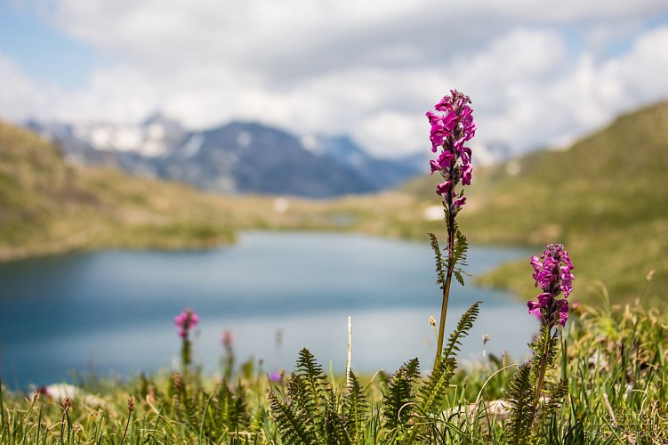 I tre laghi dal Col de la Croix de Fer