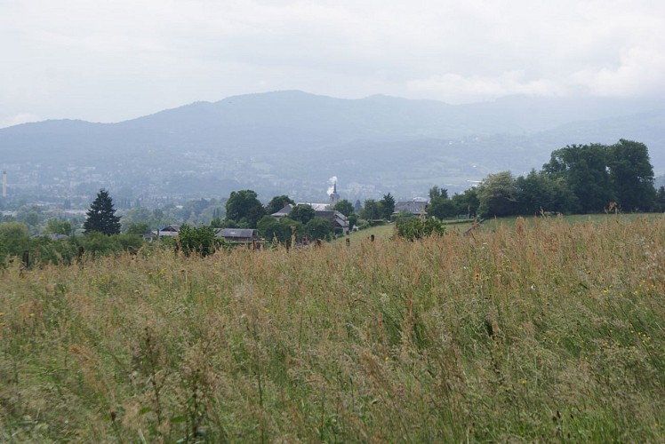 La palude di Pré Lombard