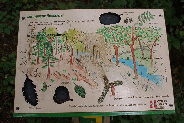 La palude di Pré Lombard