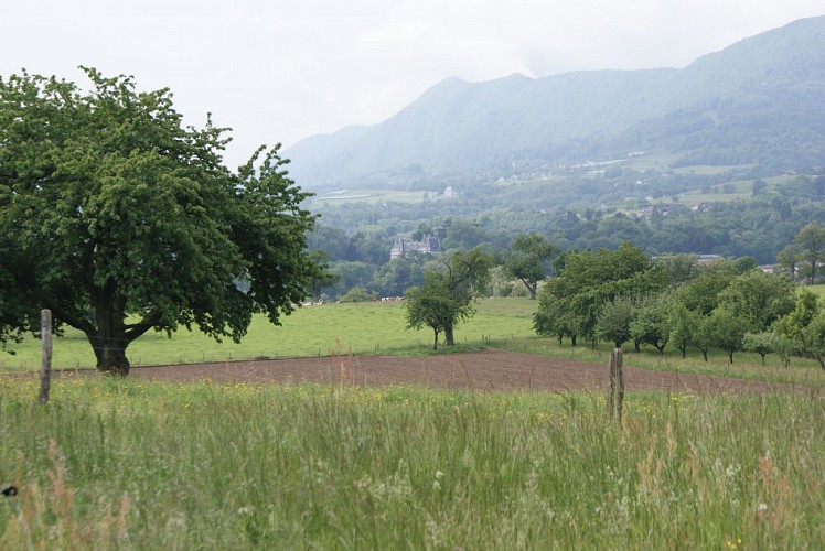 Het moeras van Pré Lombard