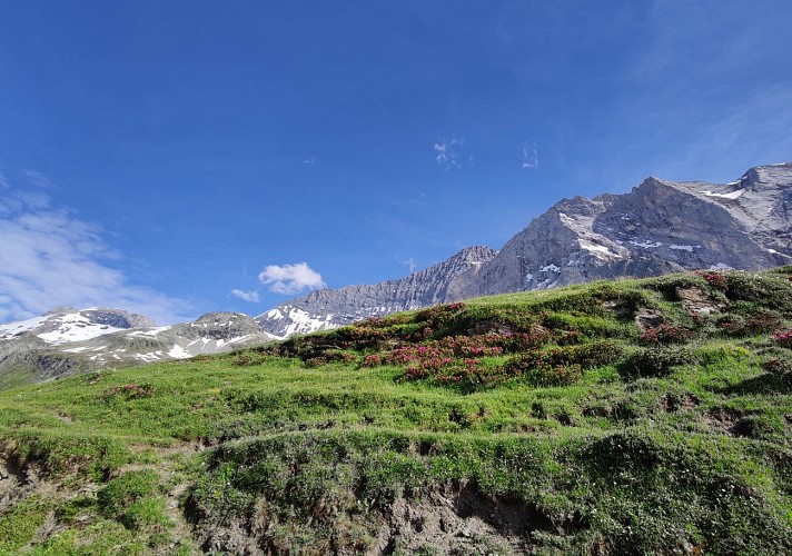 Die Glière-Hütte und der Grassaz-Pass