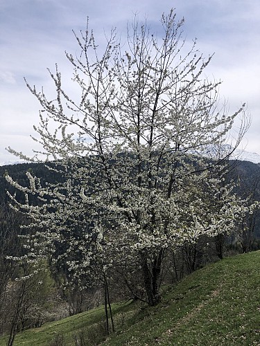 Tour de Bonneval - B2