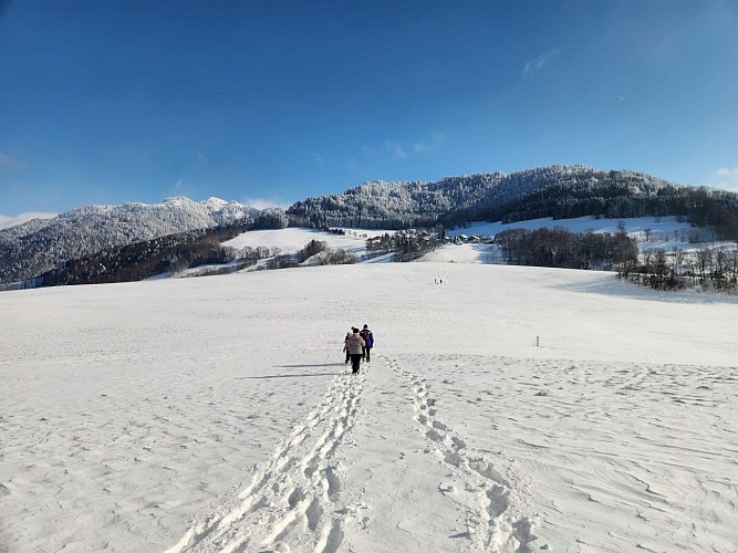 Hiking track - Col du Perret_Bogève