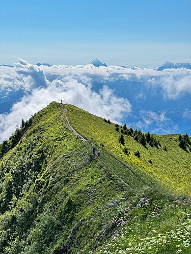 Hiking trail - Le Môle from La Tour_La Tour