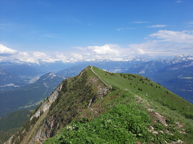 Sentier de randonnée - Le Môle depuis La Tour_La Tour