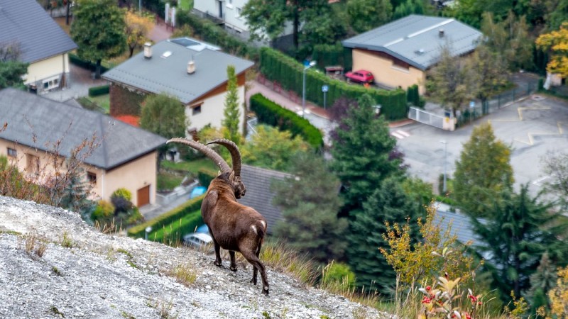 Le Pas du Roc / Sur le Poingt