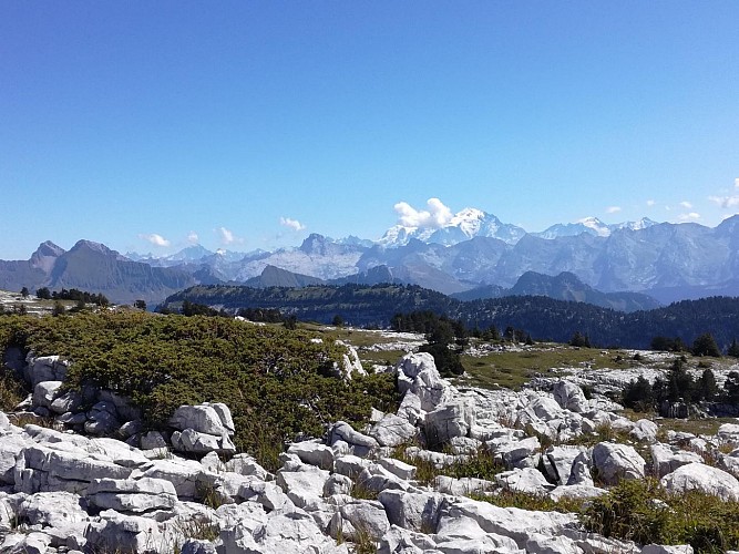 Circuit de Sous Dîne