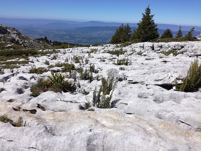 Circuit de Sous Dîne