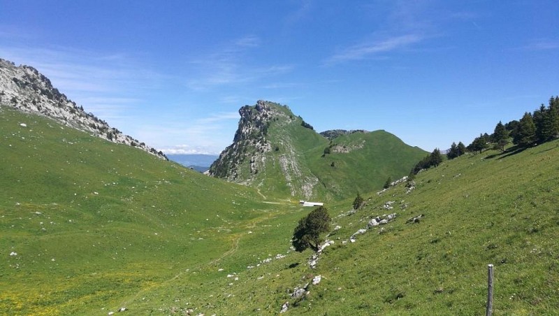 La Pointe de Talamarche - 1850 mètres d'altitude