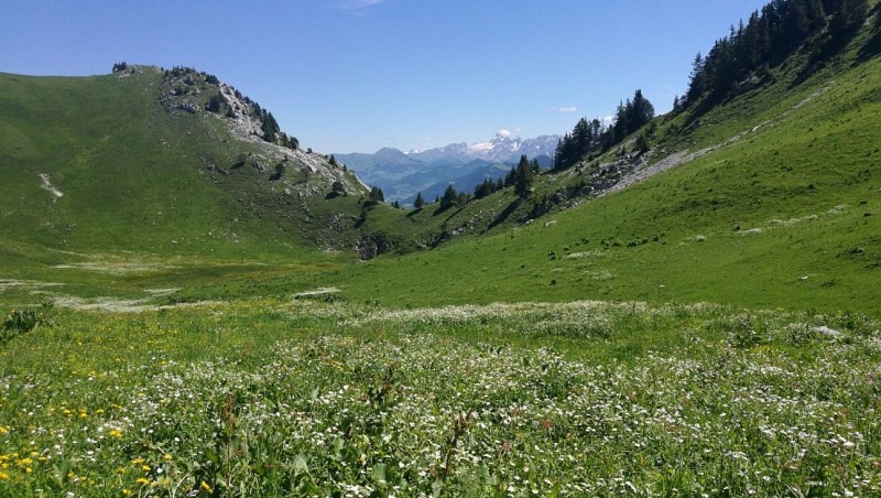 La Pointe de Talamarche