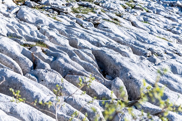 Le Plateau du Parmelan_Fillière