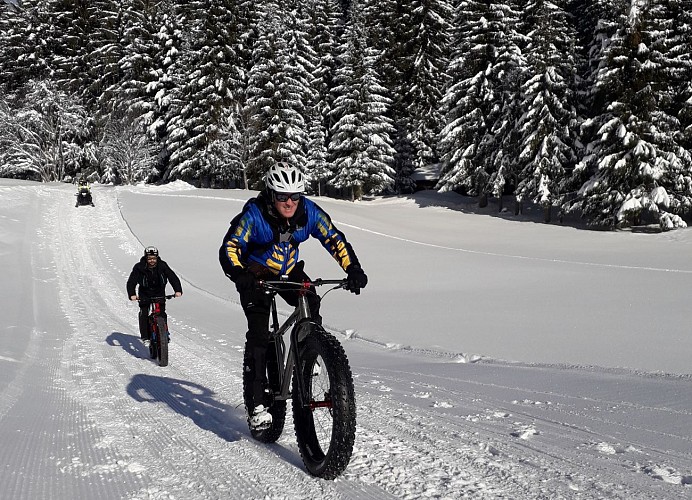 Fat Bike