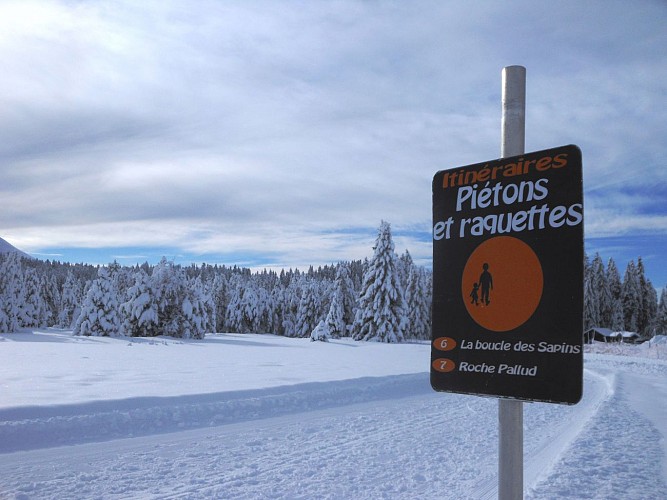 Pistes piétonnes