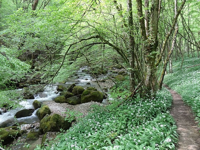 Great waterfall of the Doria river