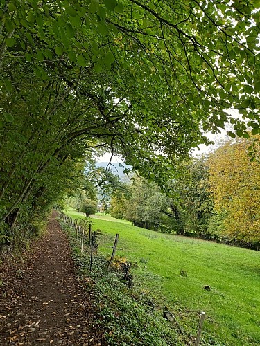 The loop of Duingt via Saint-Jorioz by the paths