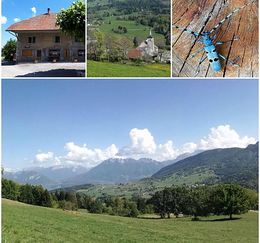 La Touvière : from Leschaux to Saint-Eustache