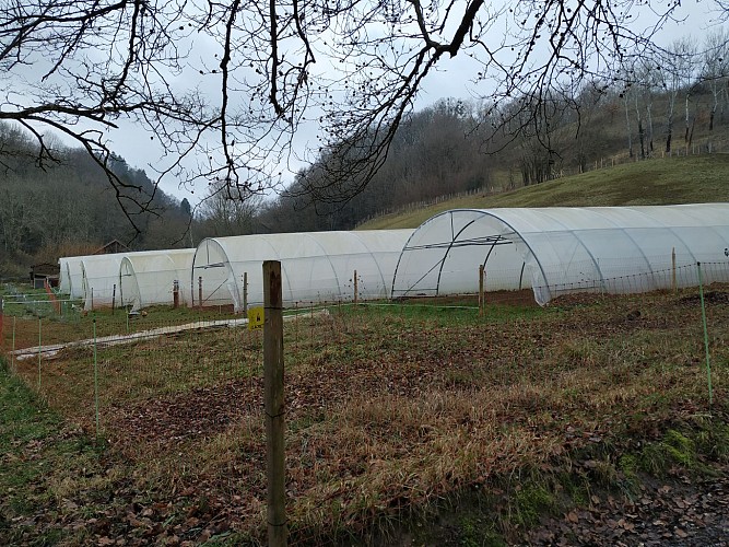 Saint Sulpice depuis le Forezan